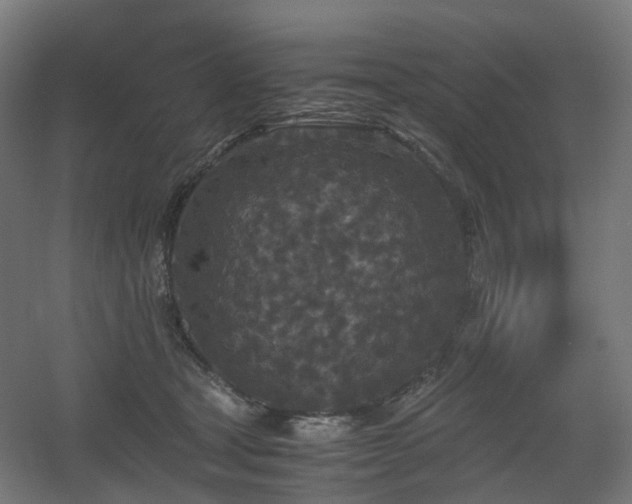 X0000060550465200511031221