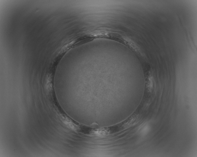 X0000060550466200511031221