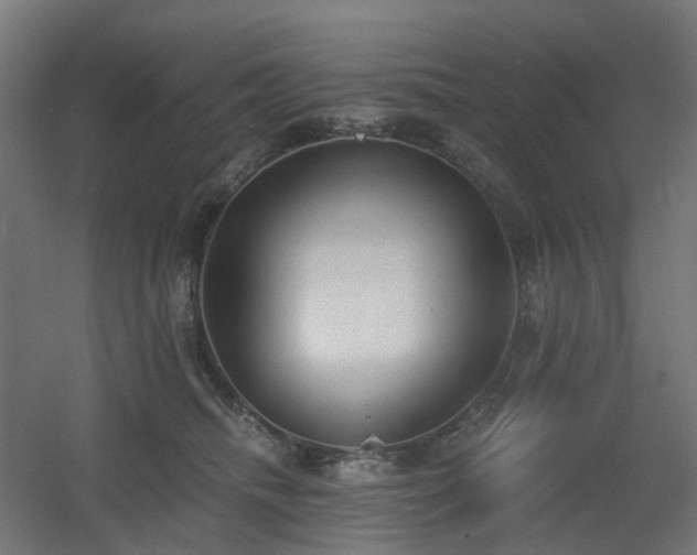 X0000060550468200511031221