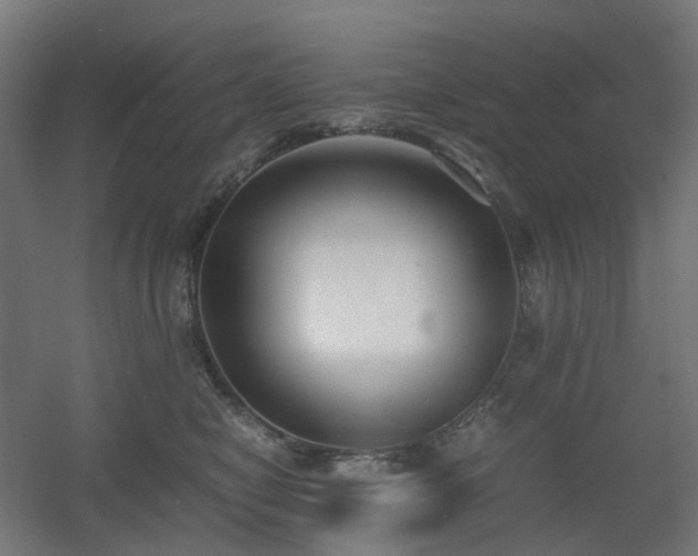 X0000060550470200511031221