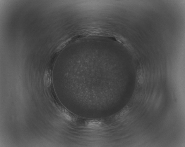 X0000060550471200511031221