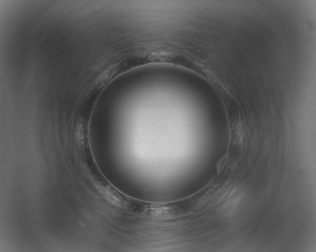 X0000060550472200511031221