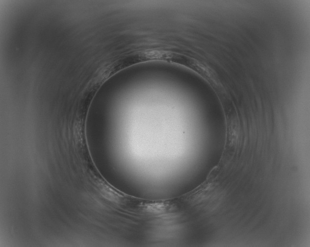 X0000060550473200511031221