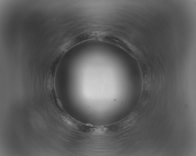 X0000060550474200511031221