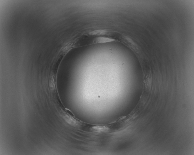 X0000060550477200511031221
