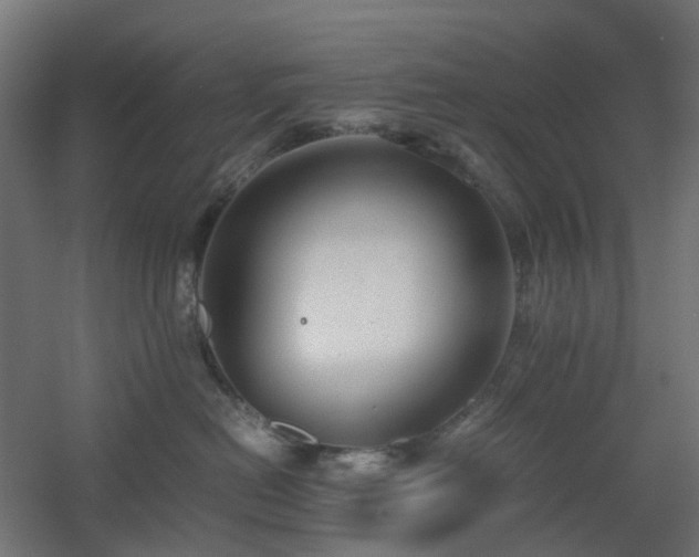 X0000060550478200511031221
