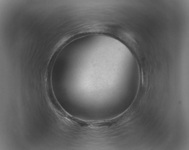 X0000060550483200511031221