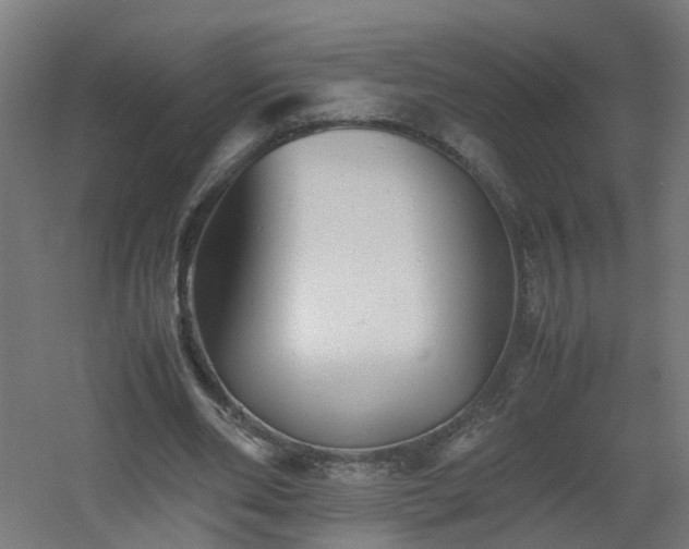 X0000060550486200511031221