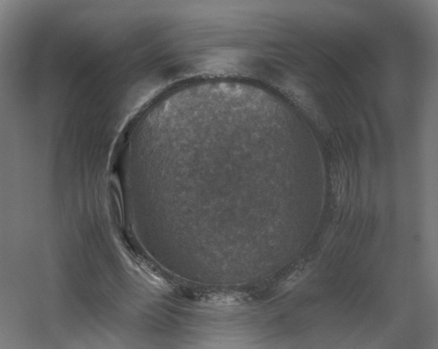 X0000060550488200511031221