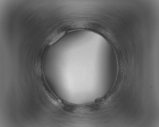 X0000060550489200511031221