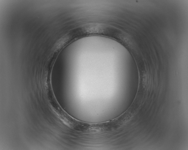 X0000060550490200511031221