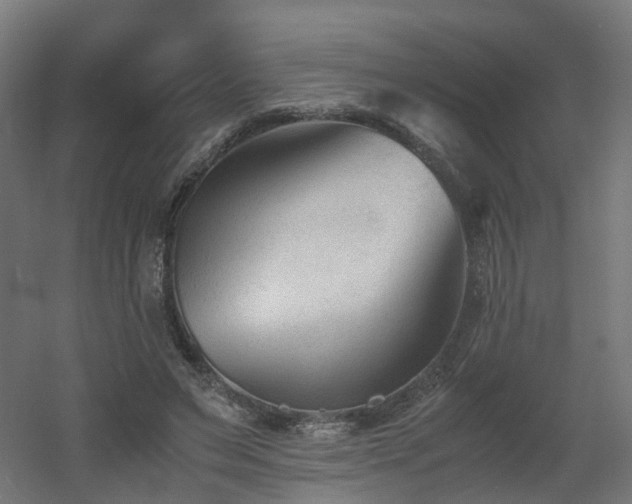 X0000060550495200511031220