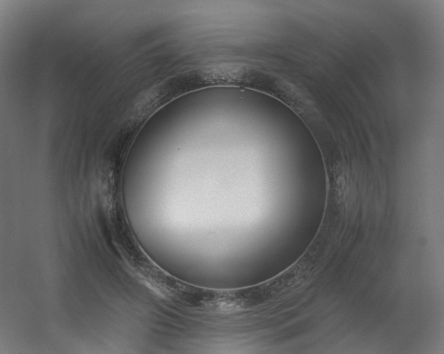 X0000060550498200511031220