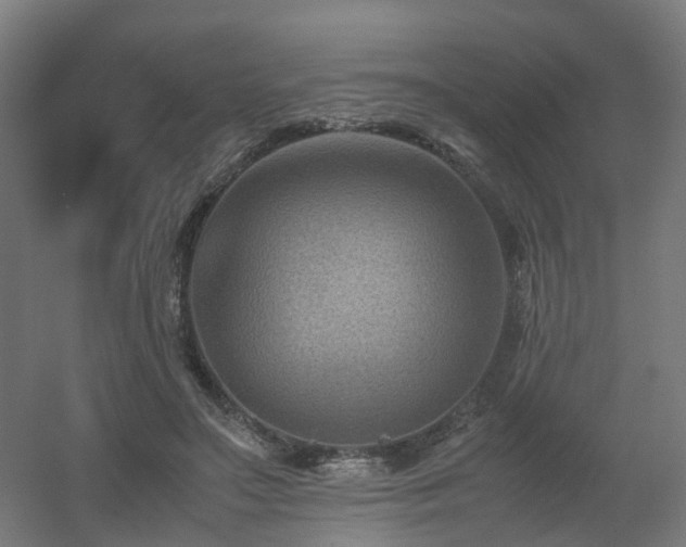 X0000060550499200511031220