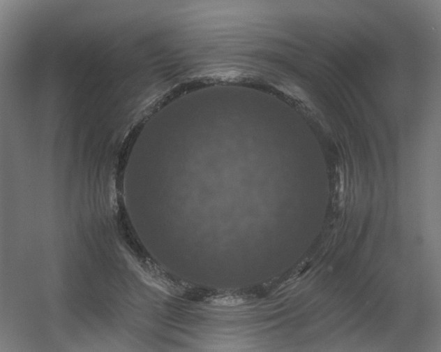 X0000060550500200511031220