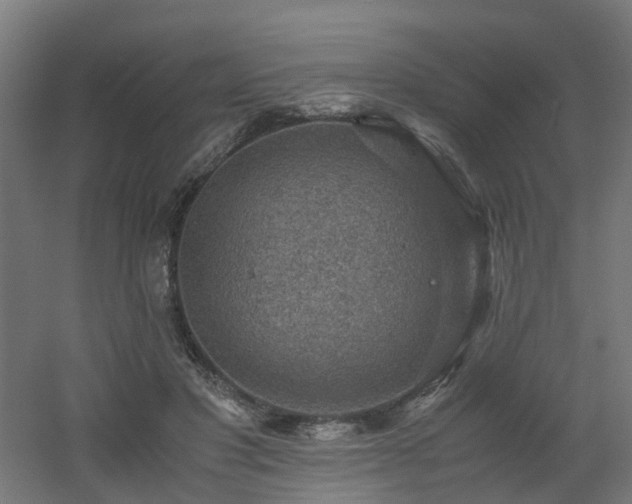 X0000060550501200511031220