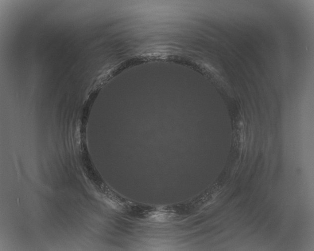 X0000060550504200511031220