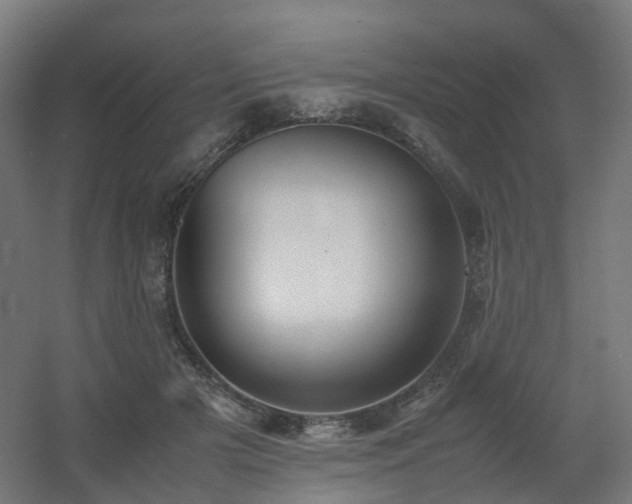 X0000060550505200511031220