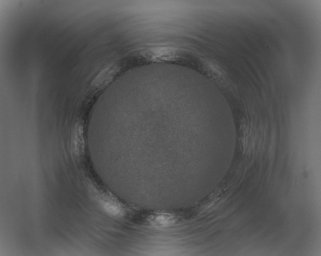 X0000060550506200511031220