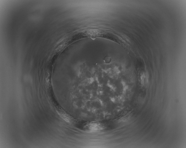 X0000060550507200511031220