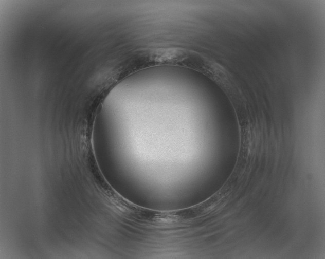 X0000060550510200511031220