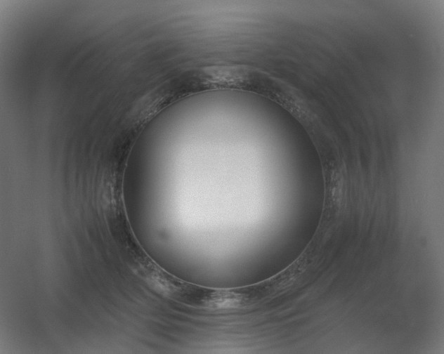 X0000060550514200511031220