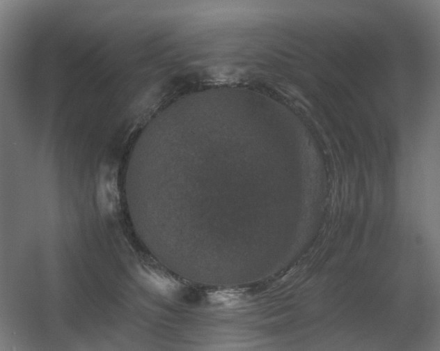X0000060550516200511031220