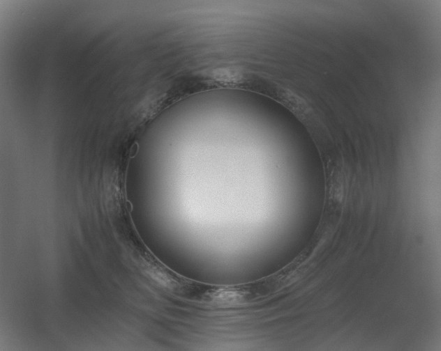 X0000060550518200511031220