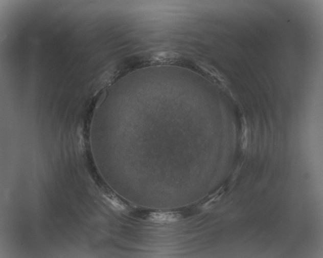 X0000060550520200511031220