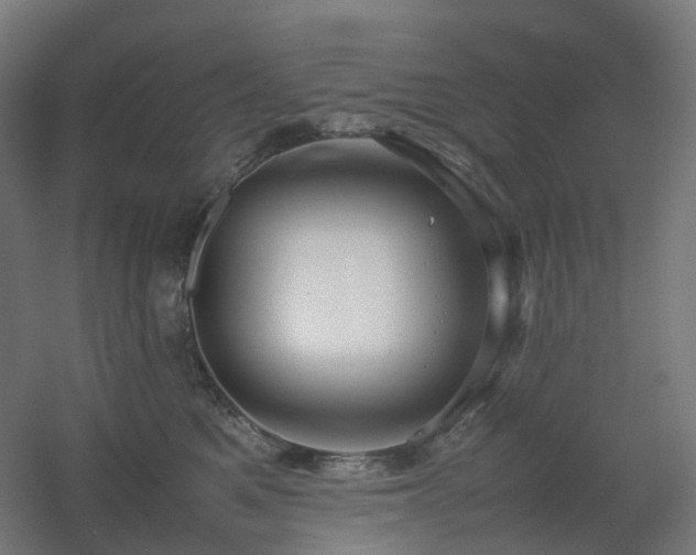 X0000060550521200511031220