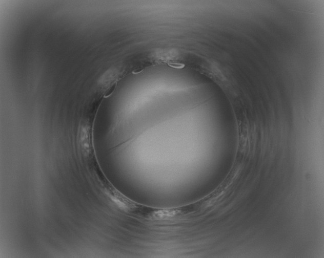 X0000060550526200511031220