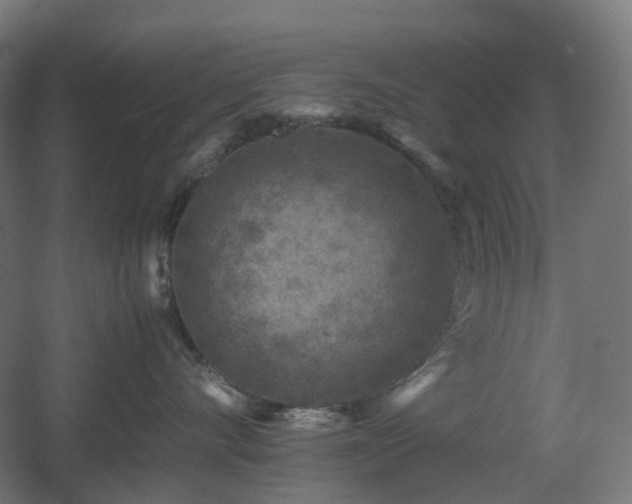 X0000060550528200511031220
