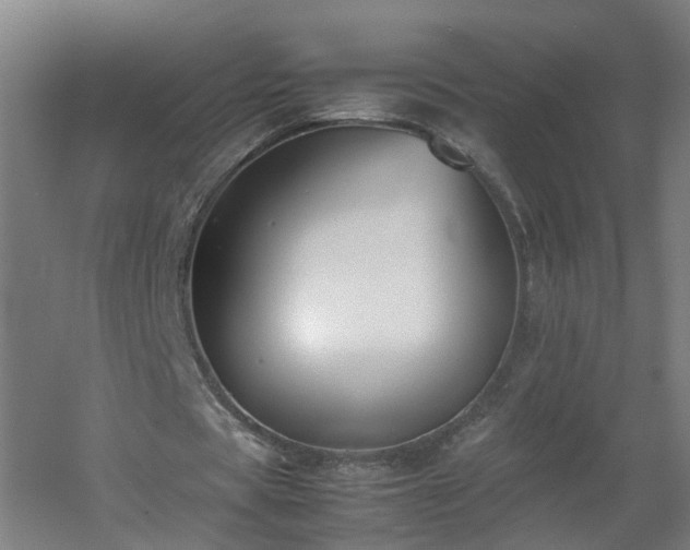 X0000060550529200511031219