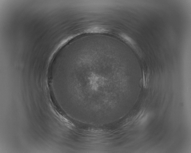 X0000060550531200511031219
