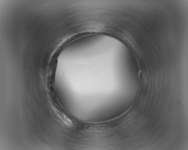 X0000060550532200511031219
