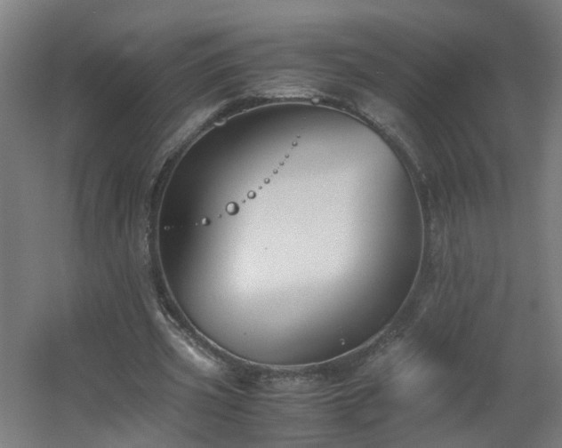 X0000060550533200511031219