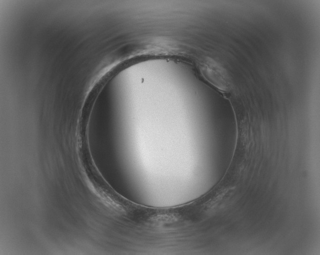 X0000060550536200511031219