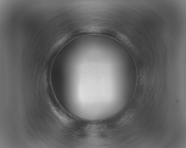 X0000060550538200511031219