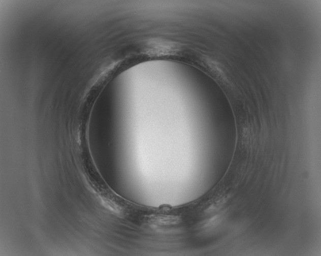 X0000060550539200511031219