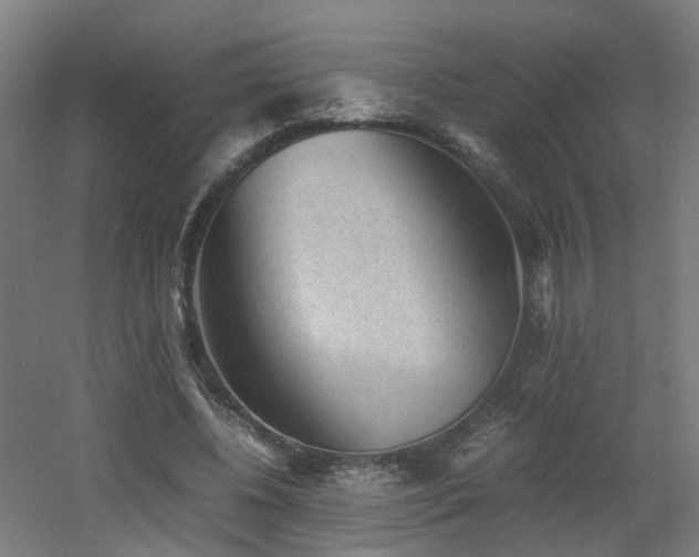X0000060550540200511031219