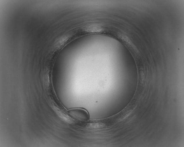 X0000060550541200511031219