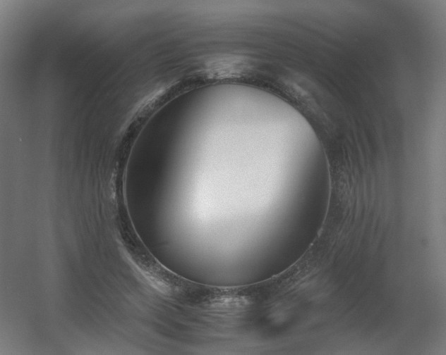 X0000060550543200511031219