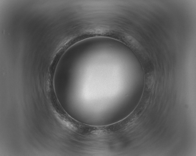X0000060550544200511031219