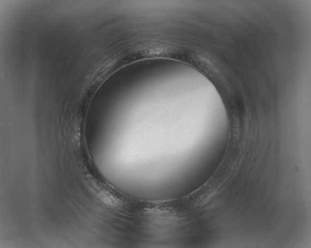 X0000060550545200511031219