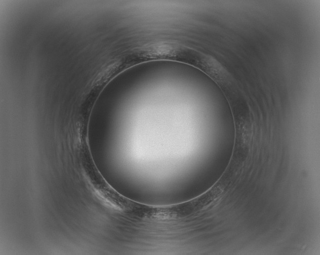 X0000060550546200511031219