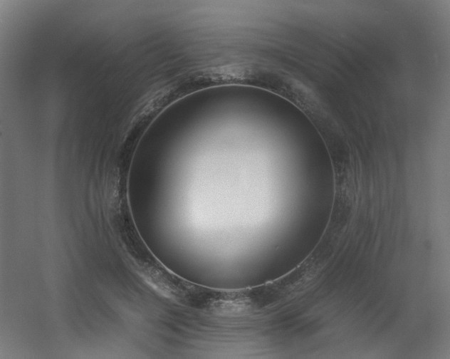 X0000060550548200511031219