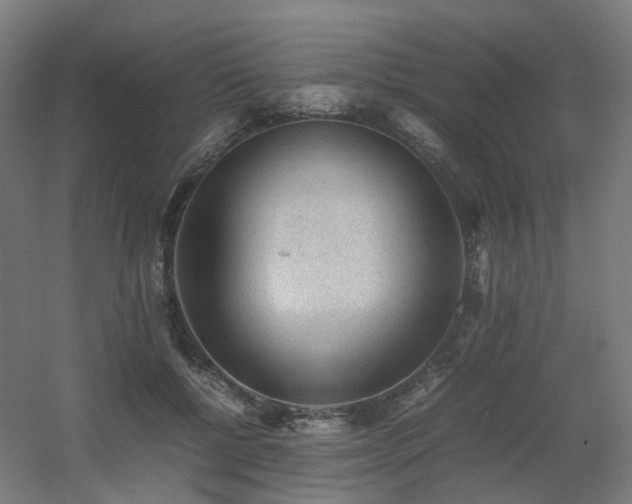 X0000060550552200511031219
