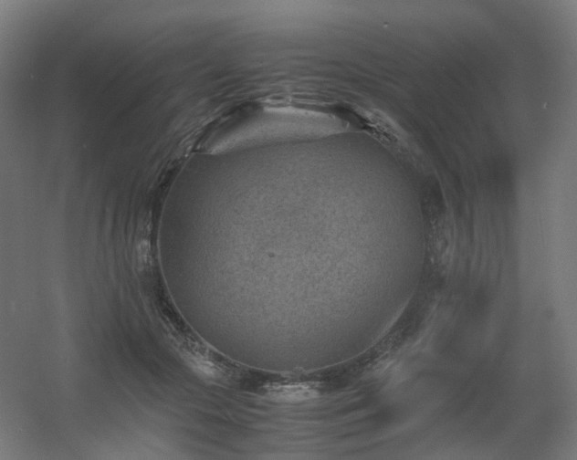 X0000060550553200511031219