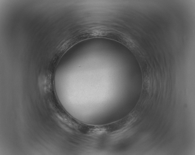 X0000060550554200511031219