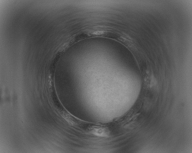 X0000060550555200511031219